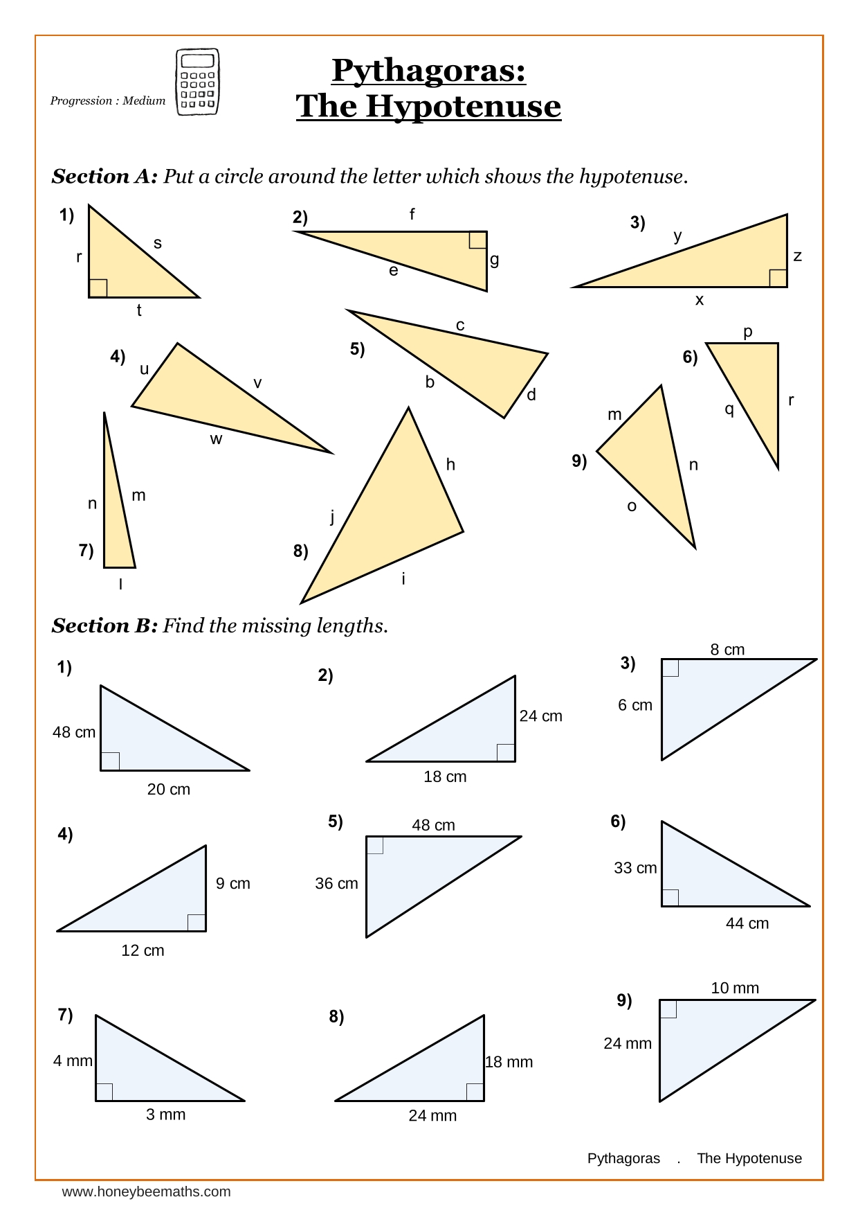 Year 10 Pythagoras Worksheets